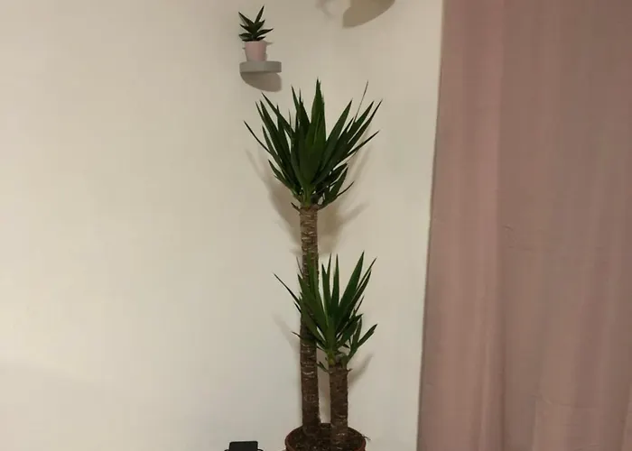 Modernes Neustadt דירה *