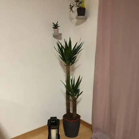 Modernes Neustadt Apartamento *